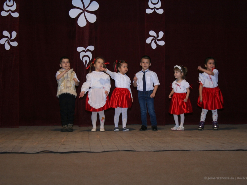 2019/ Deň maďarskej kultúry - Magyar Kultúra Napja