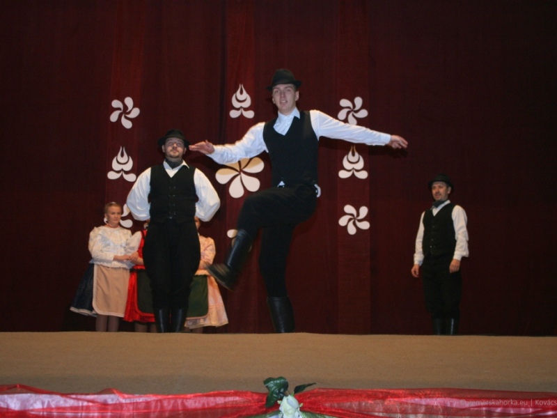 2019/ Deň maďarskej kultúry - Magyar Kultúra Napja