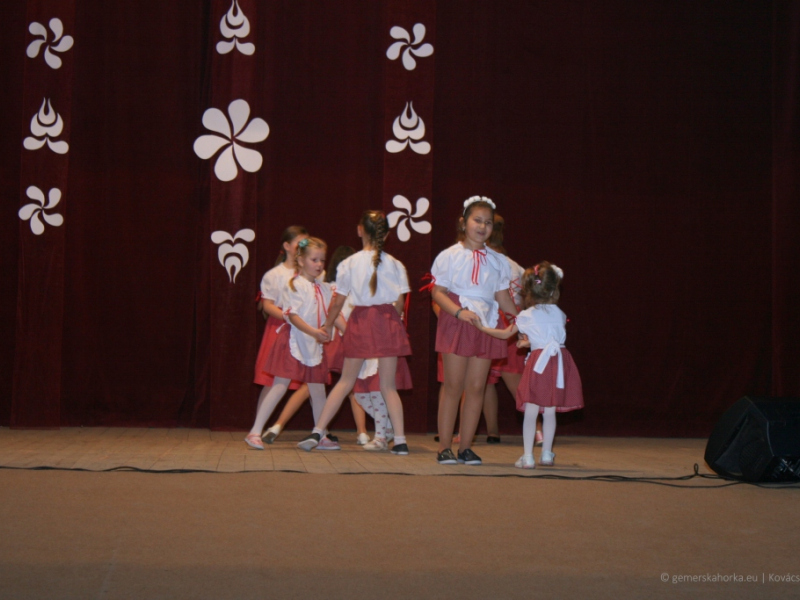 2019/ Deň maďarskej kultúry - Magyar Kultúra Napja