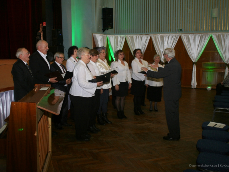 2019/ Deň maďarskej kultúry - Magyar Kultúra Napja