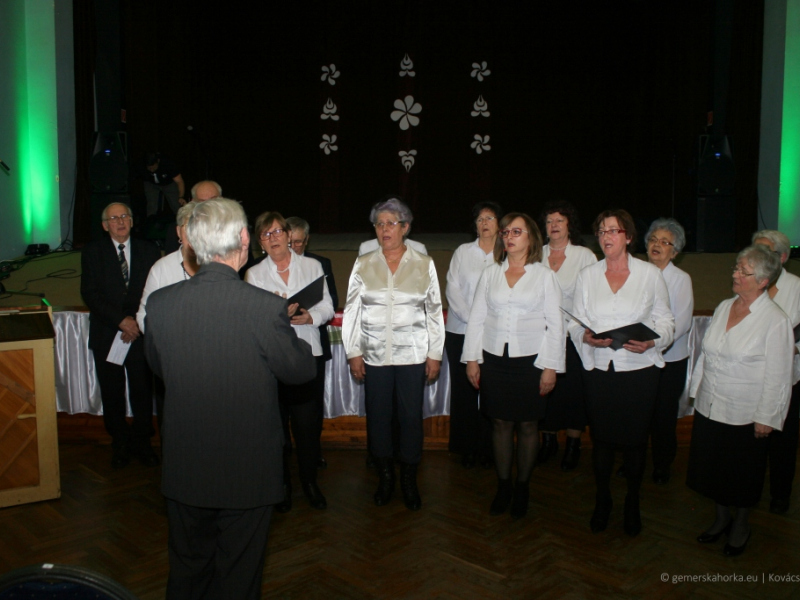2019/ Deň maďarskej kultúry - Magyar Kultúra Napja