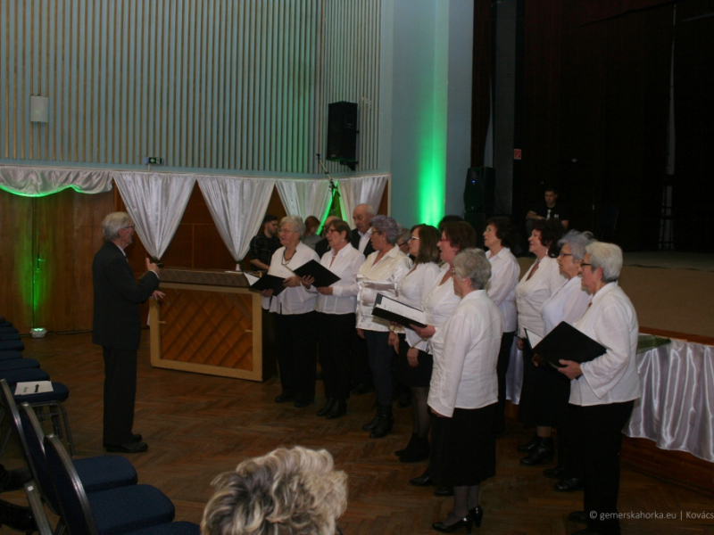 2019/ Deň maďarskej kultúry - Magyar Kultúra Napja