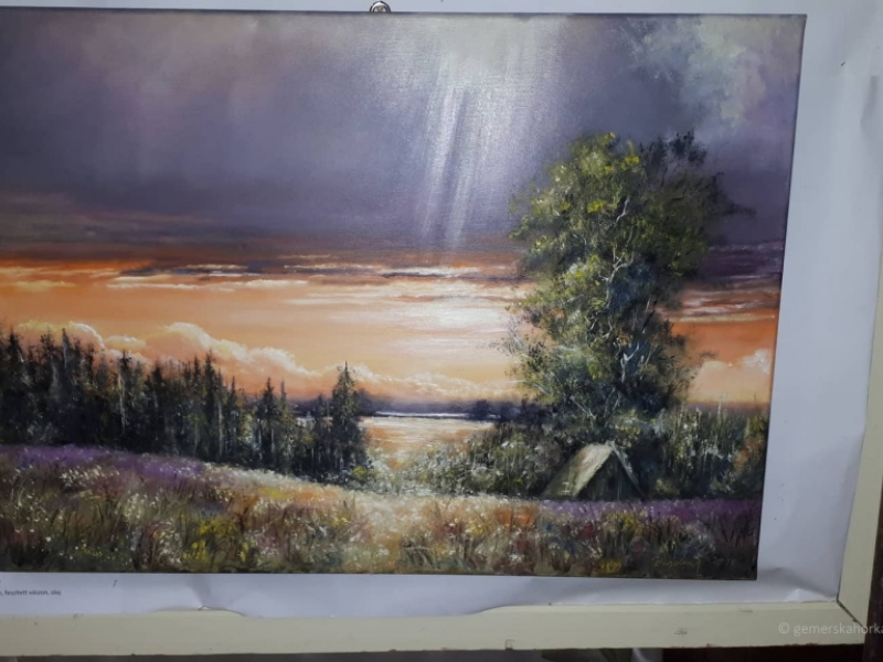 2019/ Deň maďarskej kultúry - Magyar Kultúra Napja