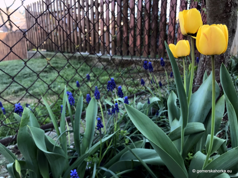 2019| Očakávanie Veľkej noci - Húsvétváró