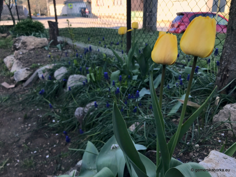 2019| Očakávanie Veľkej noci - Húsvétváró