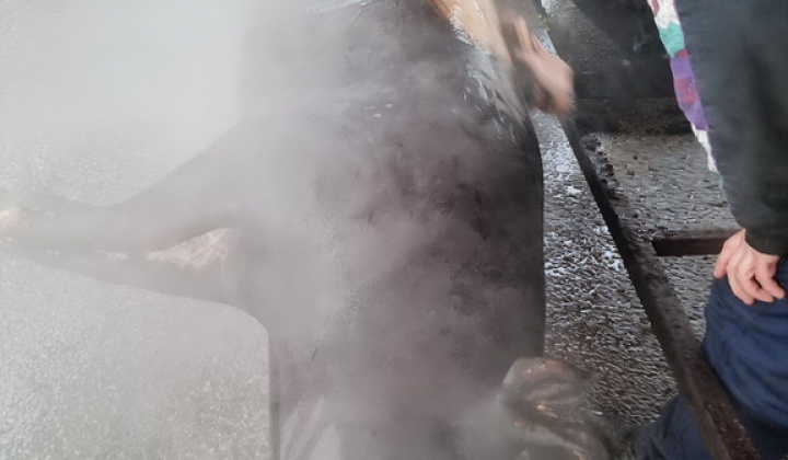 18. fotógaléria fotózás 2023 | Fašiangová zabíjačka