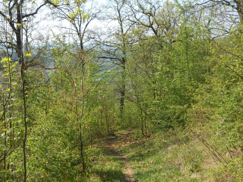 2015/ A tanösvény tisztítása - Čistenie náučného chodníka