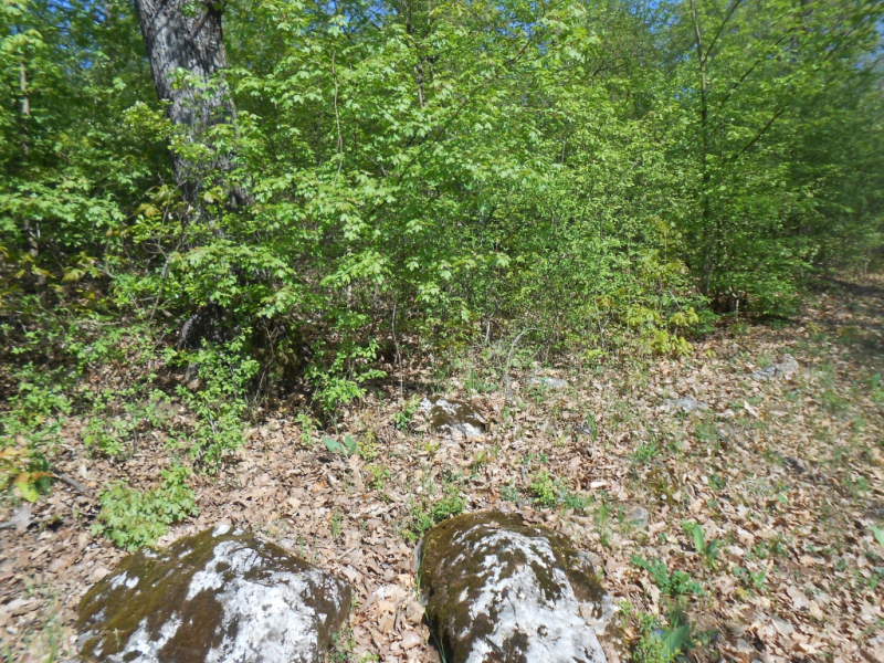 2015/ A tanösvény tisztítása - Čistenie náučného chodníka