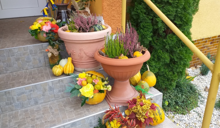 8. fotógaléria fotózás 2020| Jesenná výstava - Őszi kiállítás