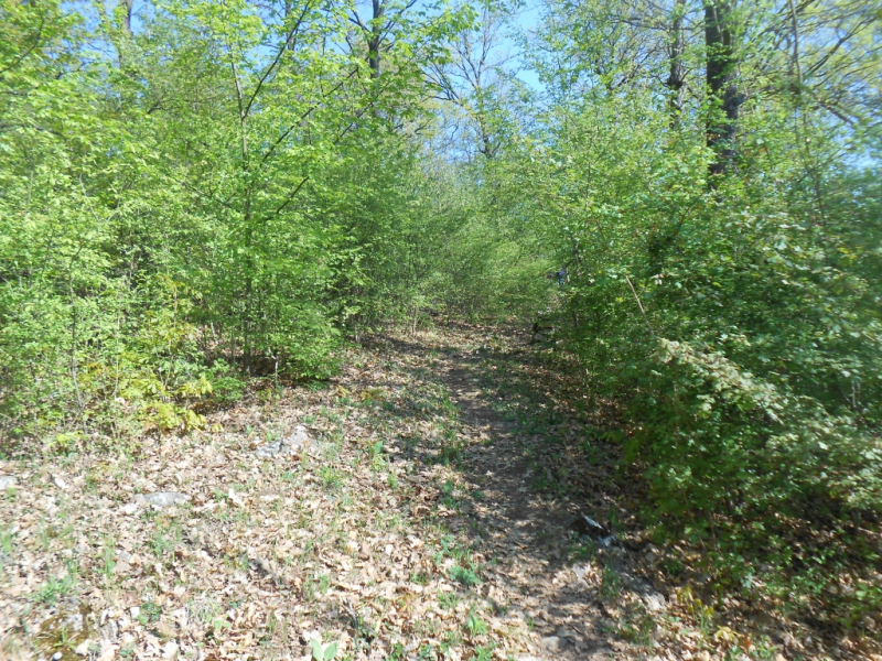 2015/ A tanösvény tisztítása - Čistenie náučného chodníka
