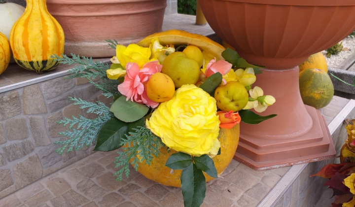 12. fotógaléria fotózás 2020| Jesenná výstava - Őszi kiállítás