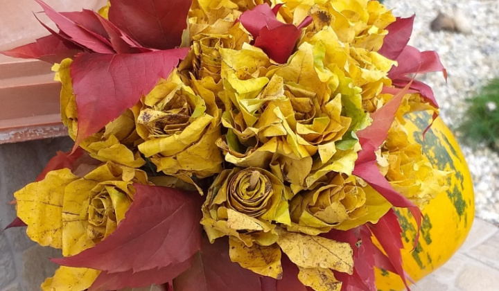 14. fotógaléria fotózás 2020| Jesenná výstava - Őszi kiállítás