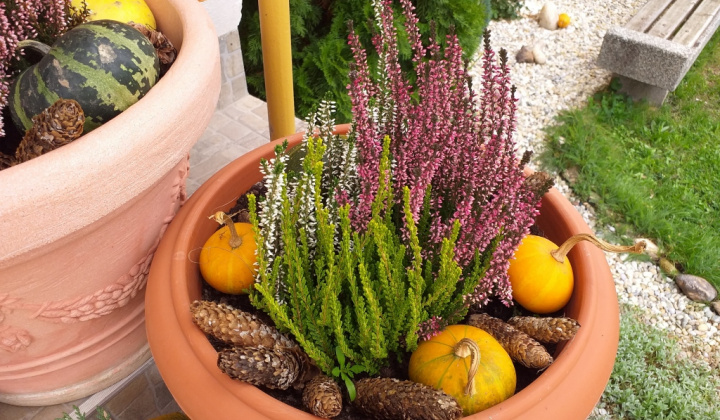 15. fotógaléria fotózás 2020| Jesenná výstava - Őszi kiállítás