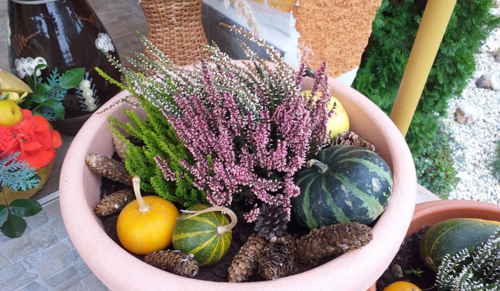 16. fotógaléria fotózás 2020| Jesenná výstava - Őszi kiállítás