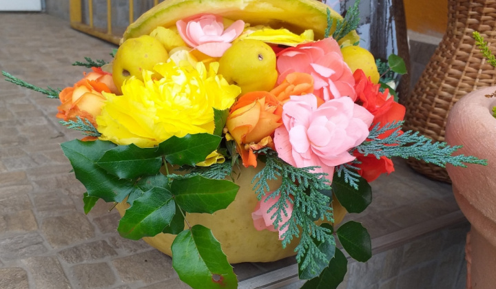 17. fotógaléria fotózás 2020| Jesenná výstava - Őszi kiállítás