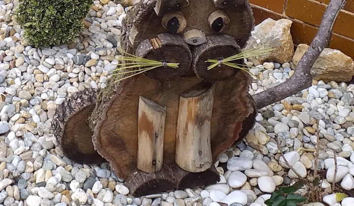 18. fotógaléria fotózás 2020| Jesenná výstava - Őszi kiállítás