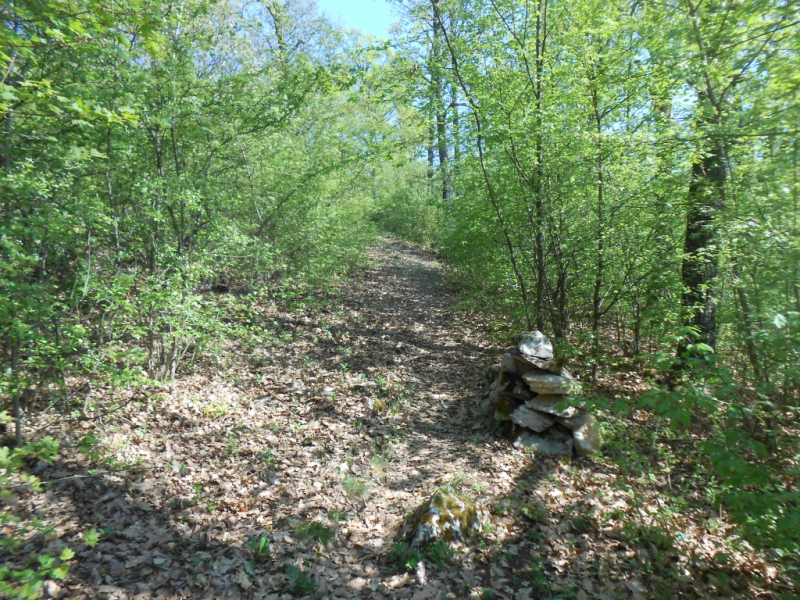 2015/ A tanösvény tisztítása - Čistenie náučného chodníka