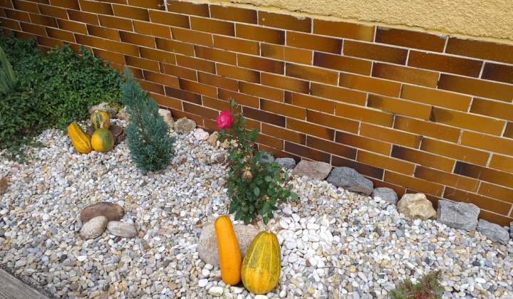 20. fotógaléria fotózás 2020| Jesenná výstava - Őszi kiállítás