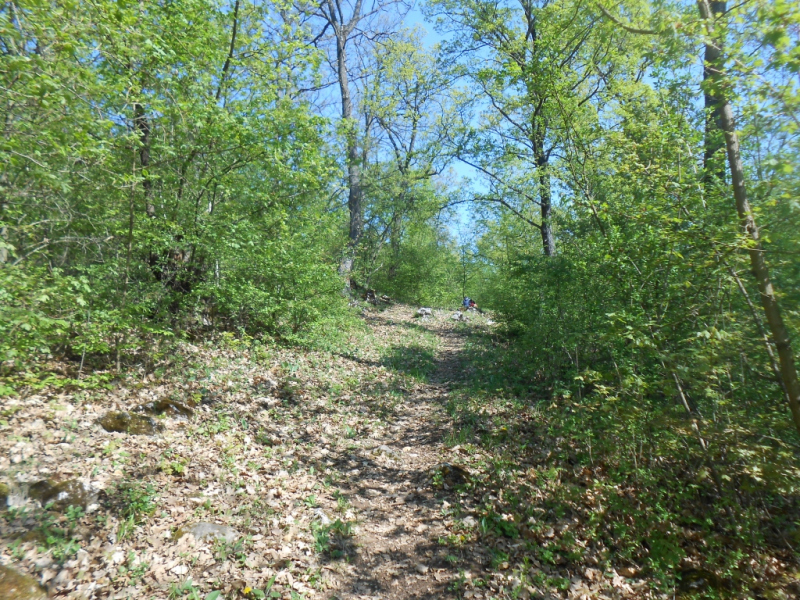 2015/ A tanösvény tisztítása - Čistenie náučného chodníka