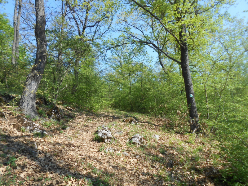 2015/ A tanösvény tisztítása - Čistenie náučného chodníka