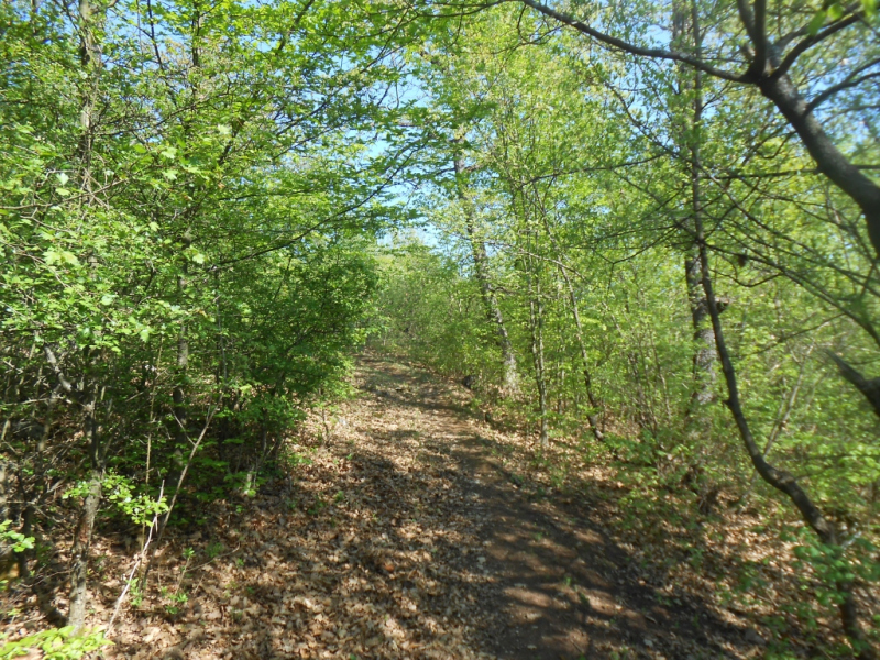 2015/ A tanösvény tisztítása - Čistenie náučného chodníka