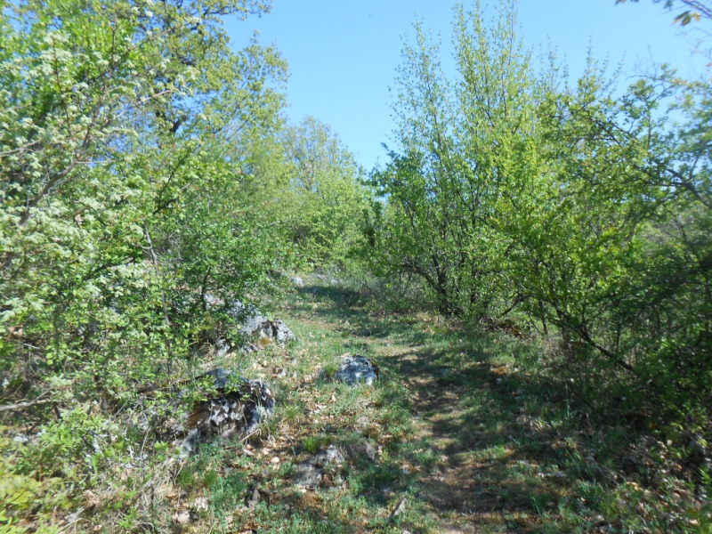 2015/ A tanösvény tisztítása - Čistenie náučného chodníka