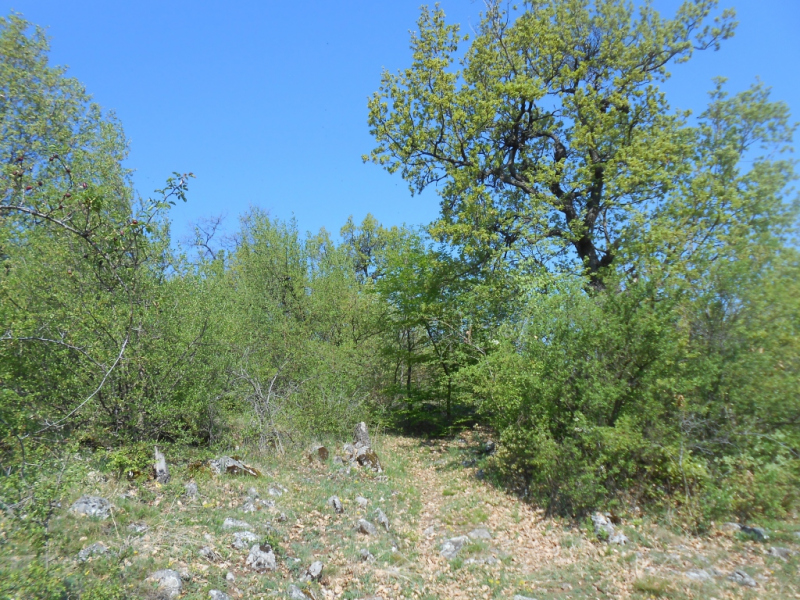2015/ A tanösvény tisztítása - Čistenie náučného chodníka