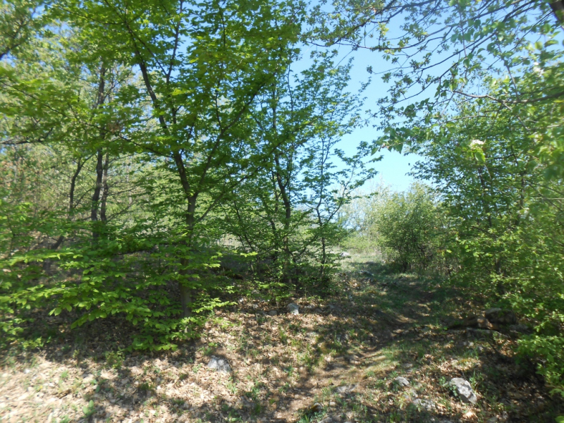 2015/ A tanösvény tisztítása - Čistenie náučného chodníka