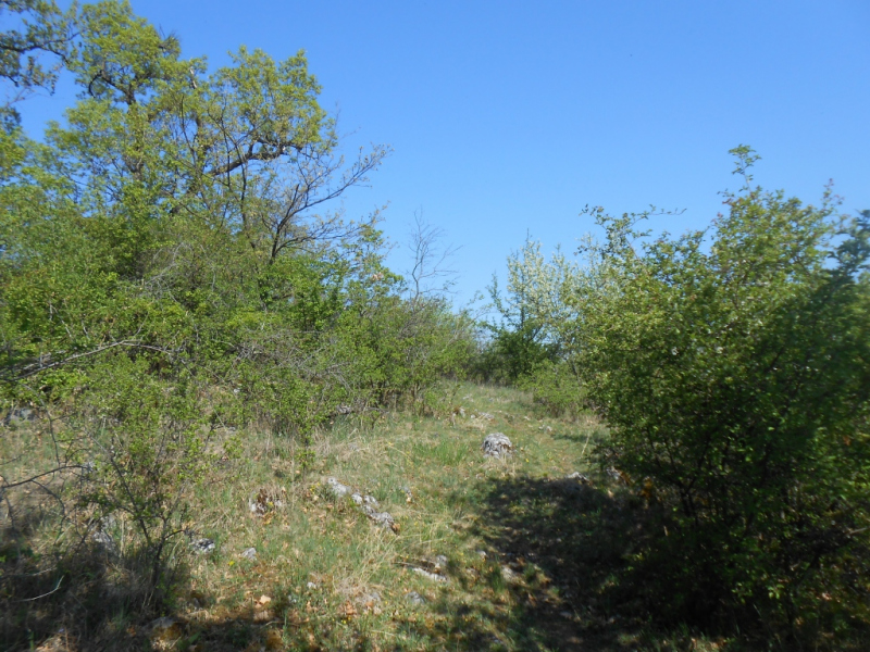 2015/ A tanösvény tisztítása - Čistenie náučného chodníka