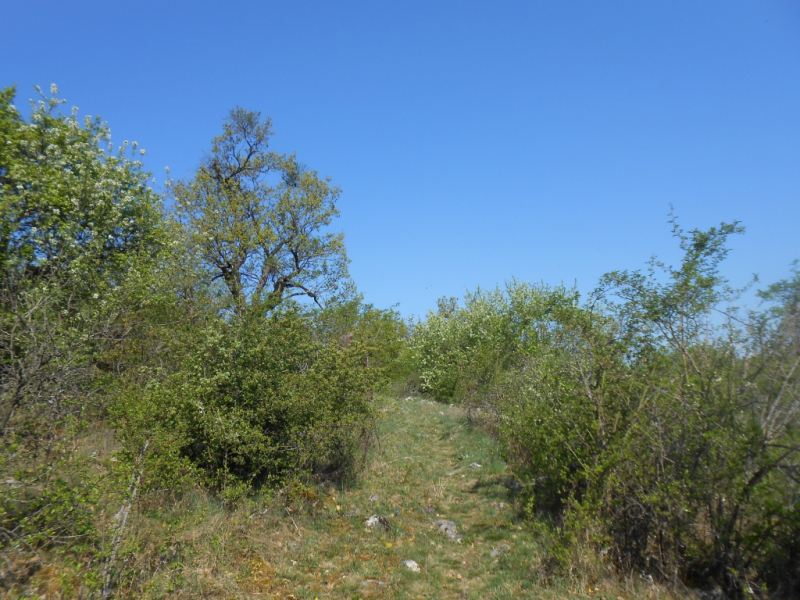 2015/ A tanösvény tisztítása - Čistenie náučného chodníka