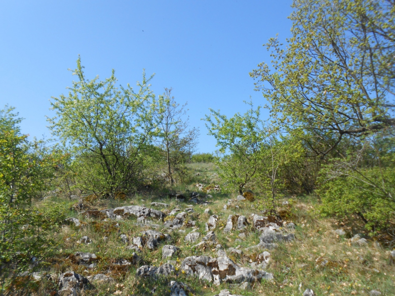 2015/ A tanösvény tisztítása - Čistenie náučného chodníka