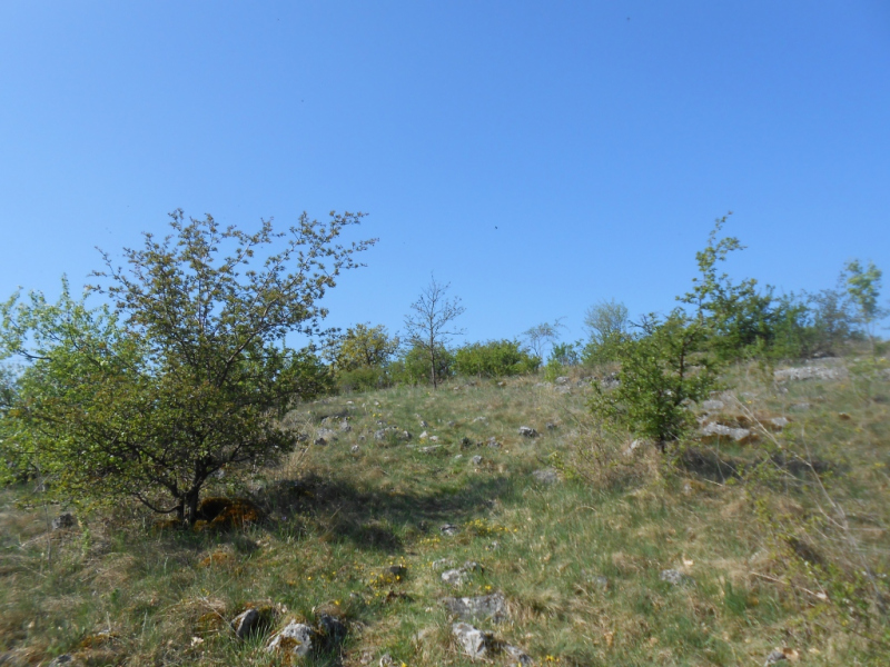 2015/ A tanösvény tisztítása - Čistenie náučného chodníka