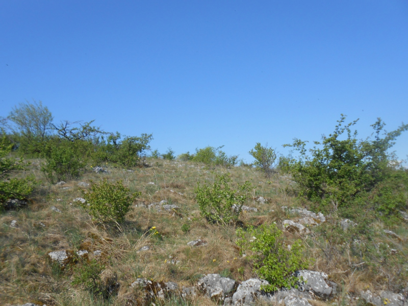 2015/ A tanösvény tisztítása - Čistenie náučného chodníka