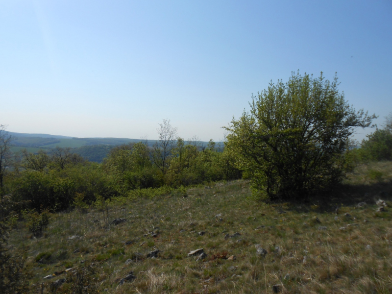 2015/ A tanösvény tisztítása - Čistenie náučného chodníka