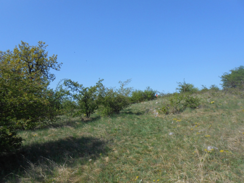 2015/ A tanösvény tisztítása - Čistenie náučného chodníka