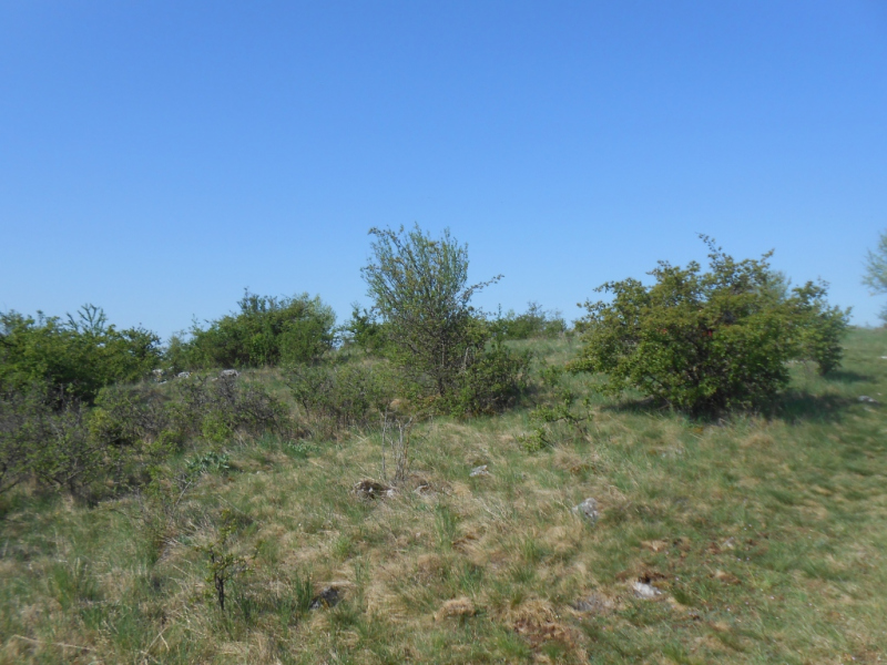 2015/ A tanösvény tisztítása - Čistenie náučného chodníka