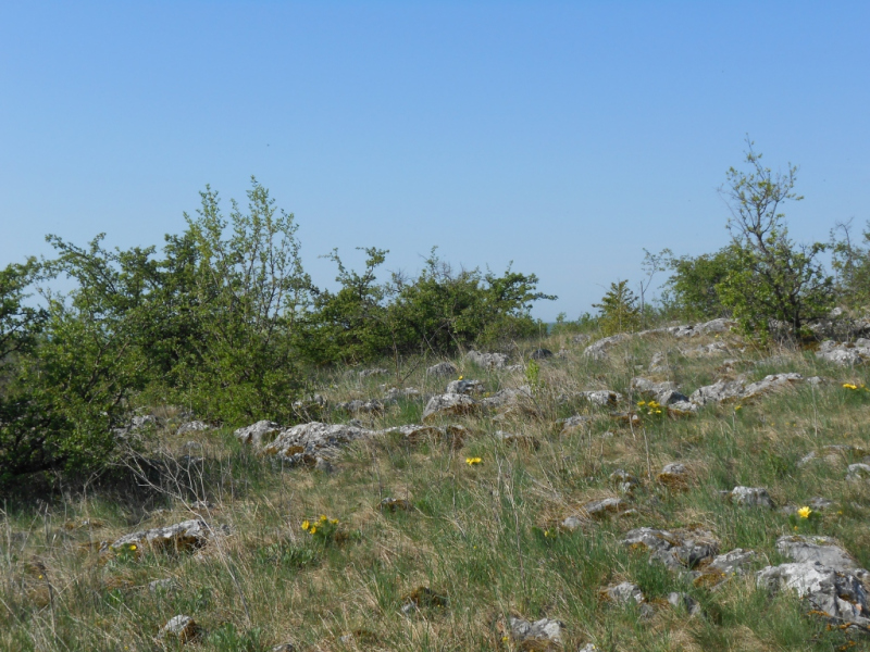 2015/ A tanösvény tisztítása - Čistenie náučného chodníka