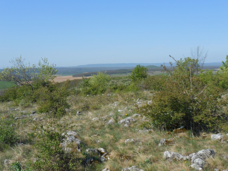 2015/ A tanösvény tisztítása - Čistenie náučného chodníka