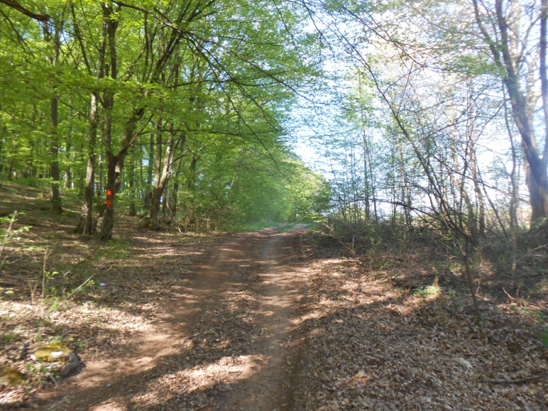 2015/ A tanösvény tisztítása - Čistenie náučného chodníka
