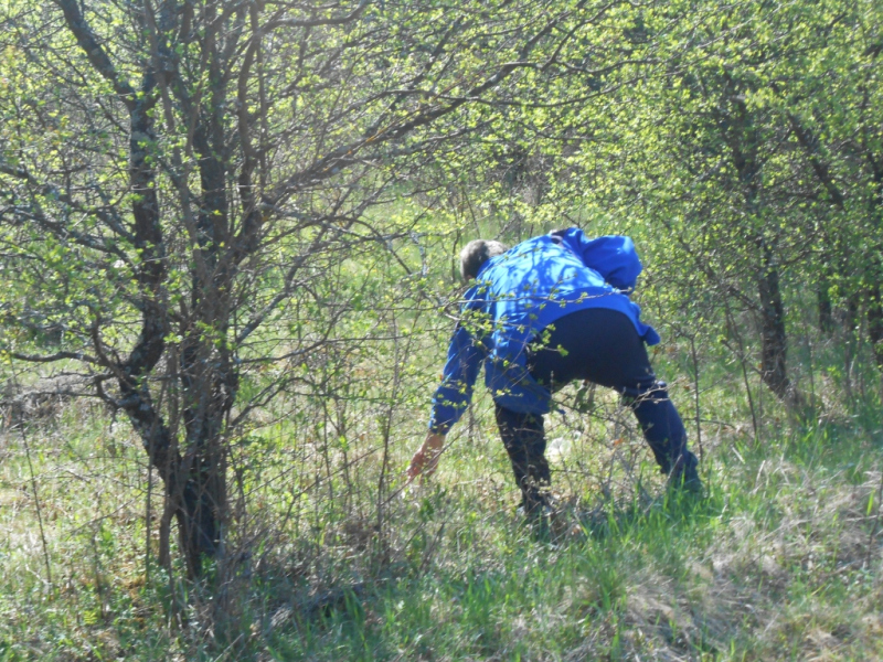 2015/ A tanösvény tisztítása - Čistenie náučného chodníka