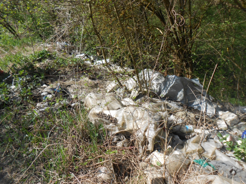 2015/ A tanösvény tisztítása - Čistenie náučného chodníka