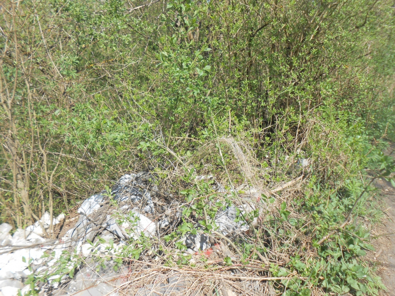 2015/ A tanösvény tisztítása - Čistenie náučného chodníka