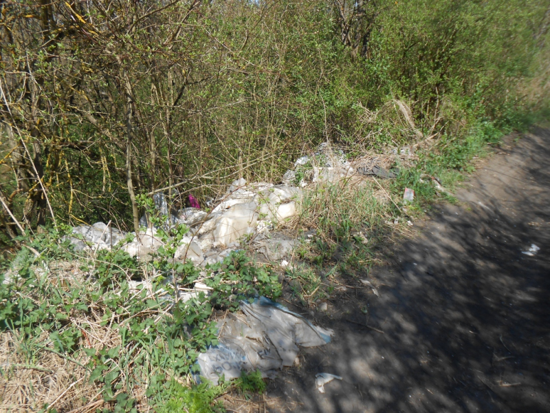 2015/ A tanösvény tisztítása - Čistenie náučného chodníka