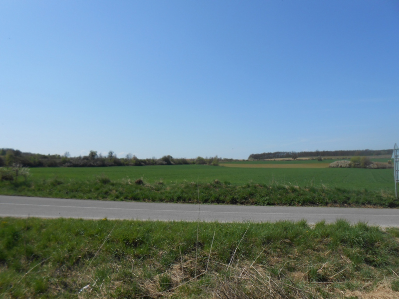 2015/ A tanösvény tisztítása - Čistenie náučného chodníka