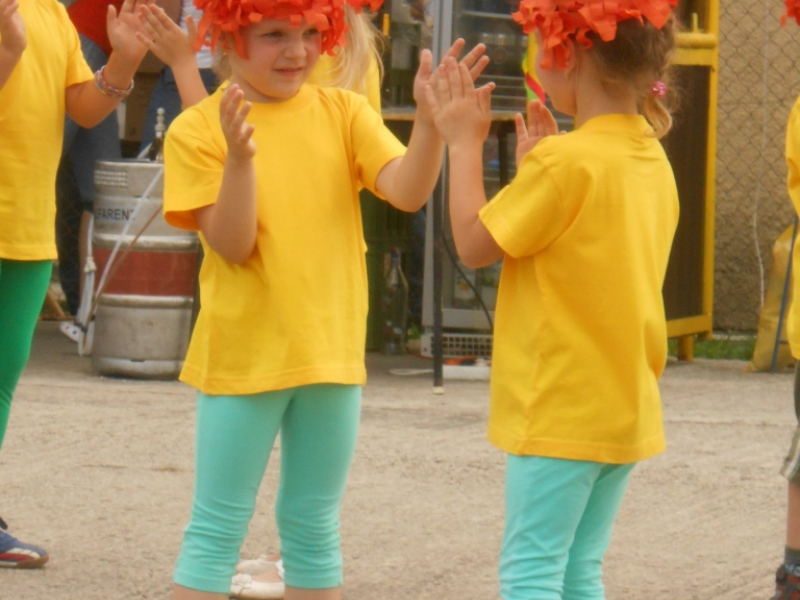 2013/ Tábortűz - Vatra