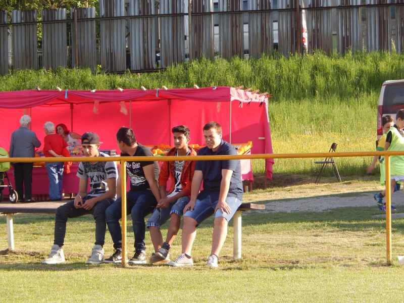 2015/ Tábortűz - Vatra