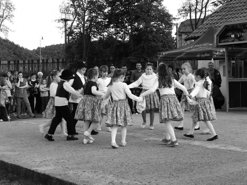 2015/ Tábortűz - Vatra