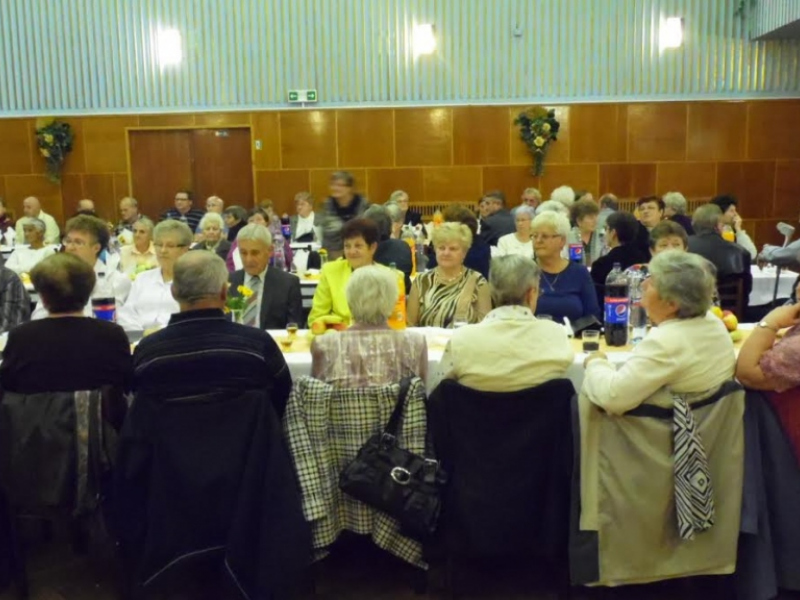 2015/ Idősek Napja - Deň dôchodcov