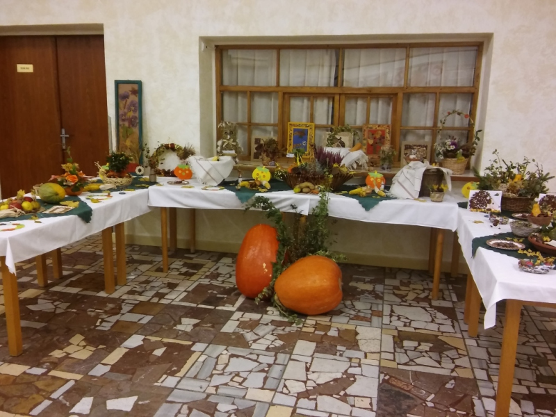 2015/ Őszi kiállítás - Jesenná výstava