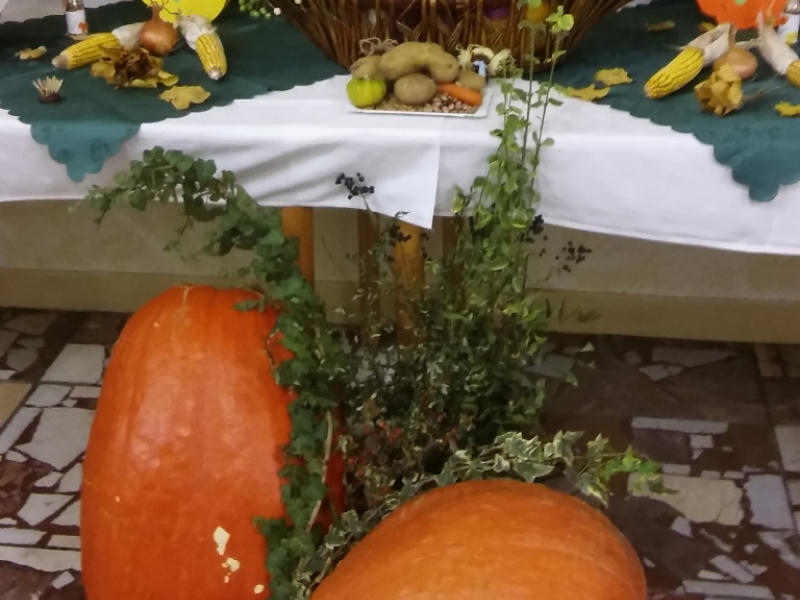 2015/ Őszi kiállítás - Jesenná výstava